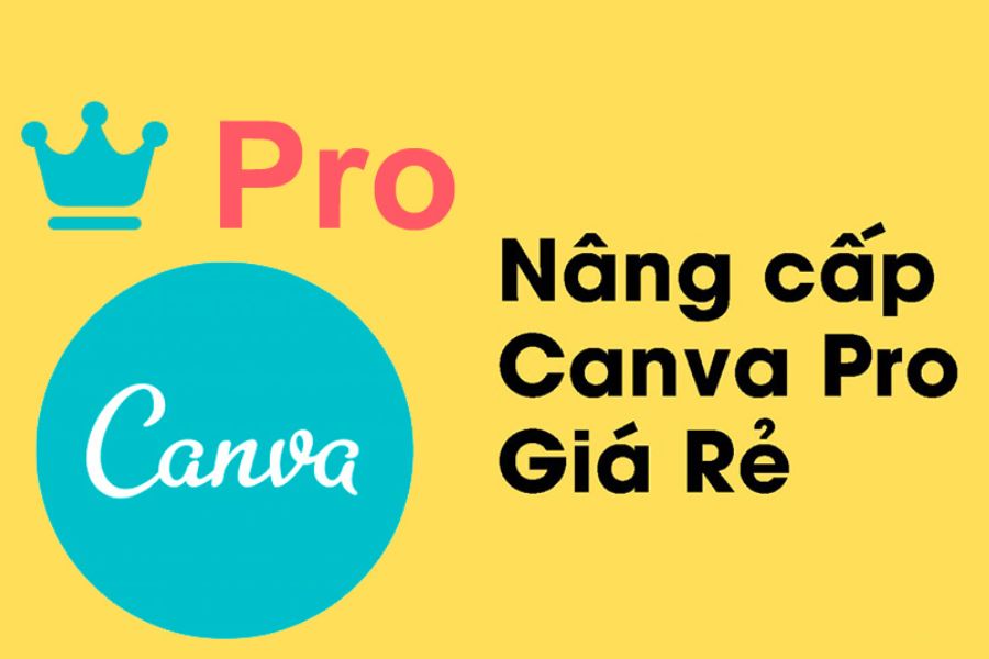 Nâng Cấp Canva Pro Giá Rẻ
