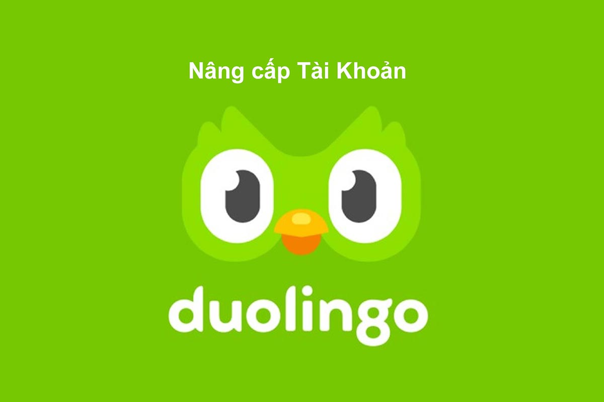 Nâng Cấp Duolingo Super Chính Chủ